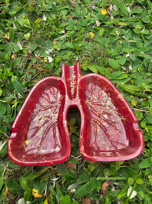 Aschenbecher Lunge